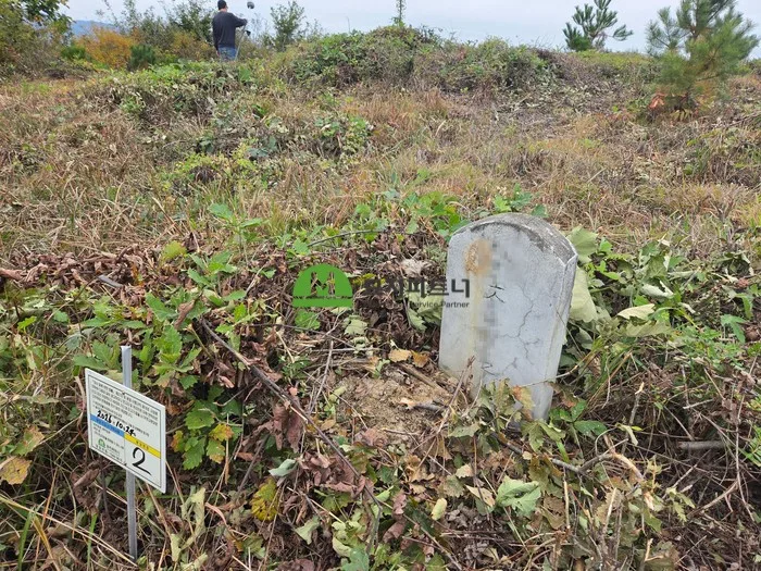 비석과 봉분의 상태를 확인해 기록합니다